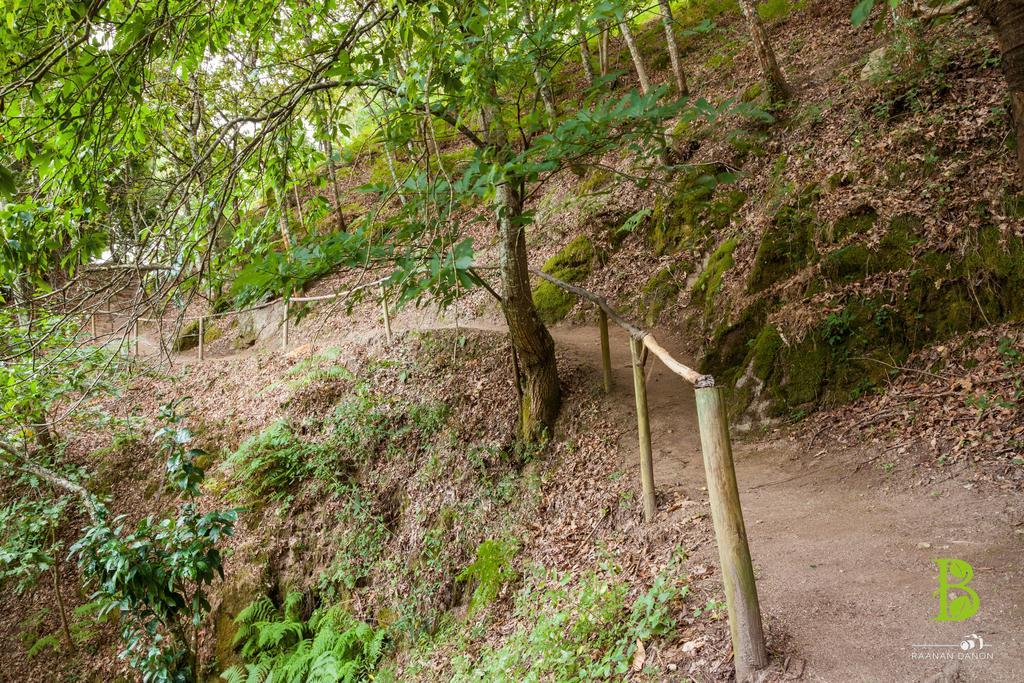 Quinta Da Bouca - Agroturismo Pacos de Gaiolo Номер фото