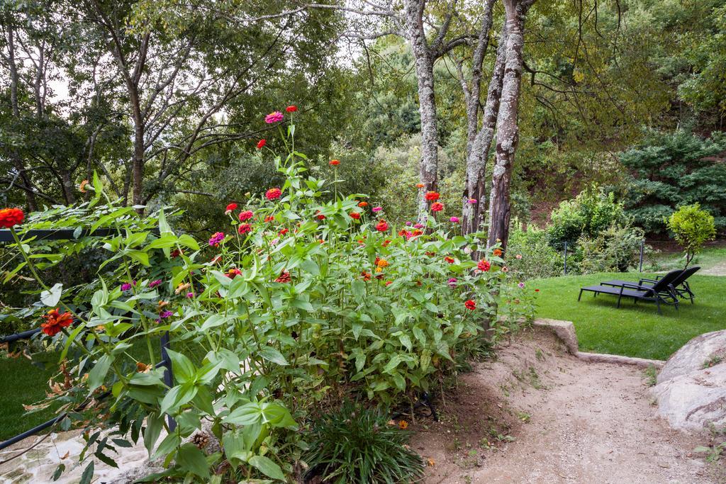 Quinta Da Bouca - Agroturismo Pacos de Gaiolo Номер фото